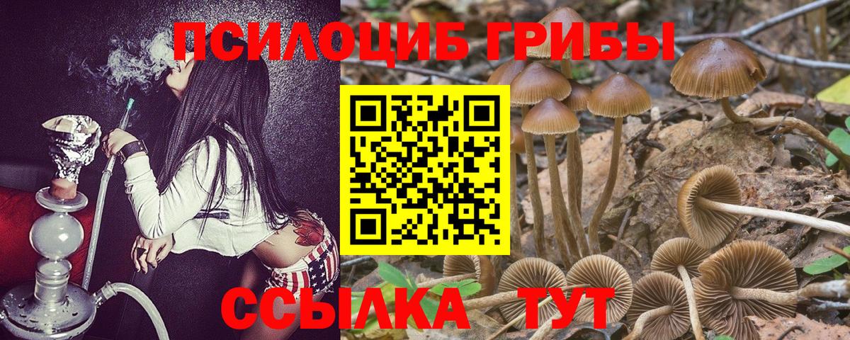 Галлюциногенные грибы ЛСД  Вход с VPN  Чита 