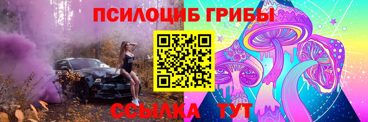 Псилоцибиновые грибы Psilocybe Чита