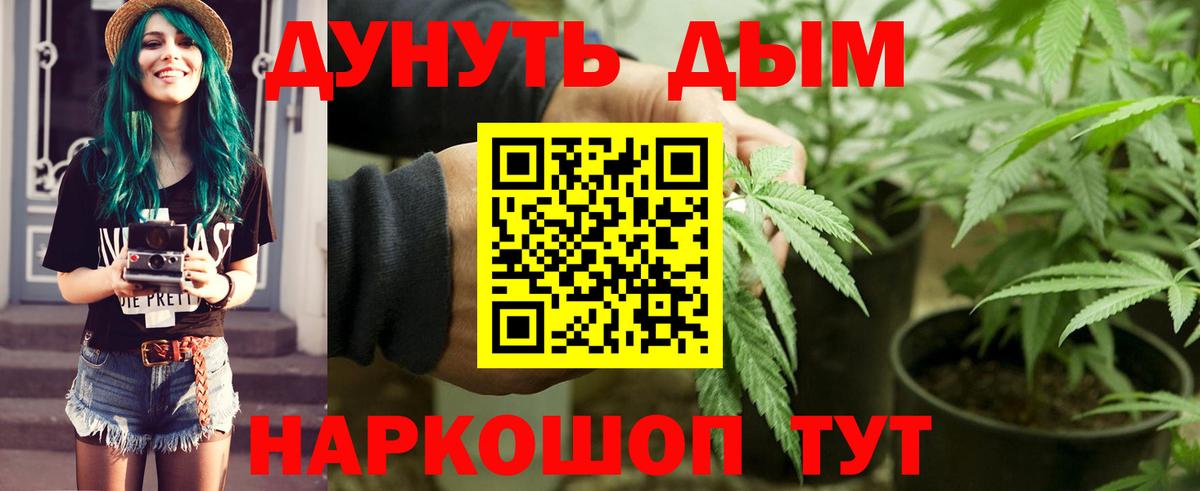 Шишки марихуана конопля  Шишки марихуана тримм  Конопля семена  Канабис OG Kush  Чита  Вход с VPN 